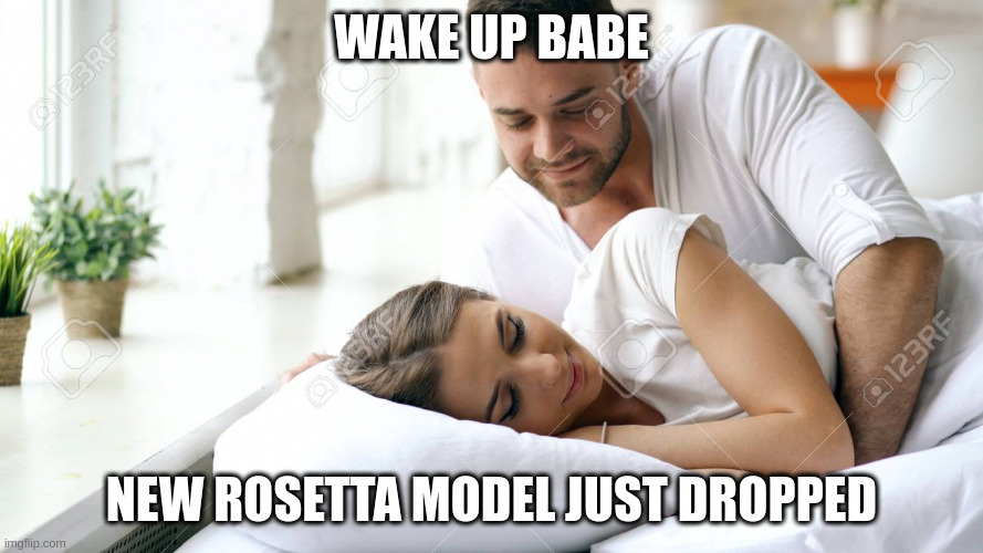 Meme of the Day
